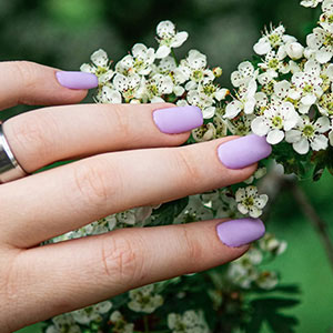 Velvet Nail Spa gallery